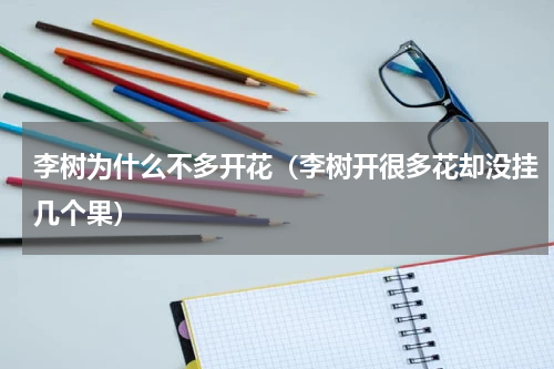 李树为什么不多开花（李树开很多花却没挂几个果）
