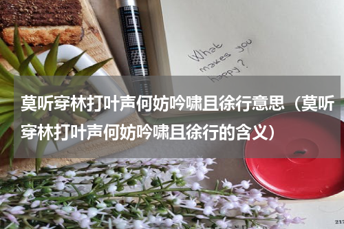 莫听穿林打叶声何妨吟啸且徐行意思（莫听穿林打叶声何妨吟啸且徐行的含义）