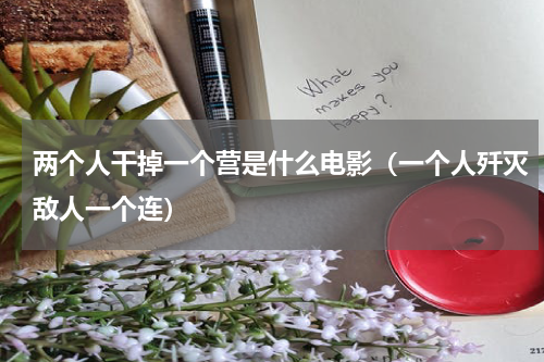 两个人干掉一个营是什么电影（一个人歼灭敌人一个连）