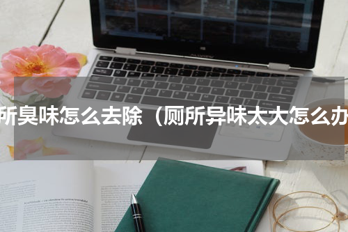 厕所臭味怎么去除（厕所异味太大怎么办）
