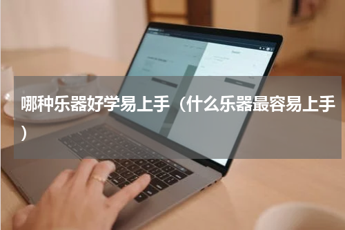 哪种乐器好学易上手（什么乐器最容易上手）