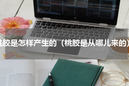 桃胶是怎样产生的（桃胶是从哪儿来的）