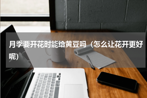 月季要开花时能给黄豆吗（怎么让花开更好呢）