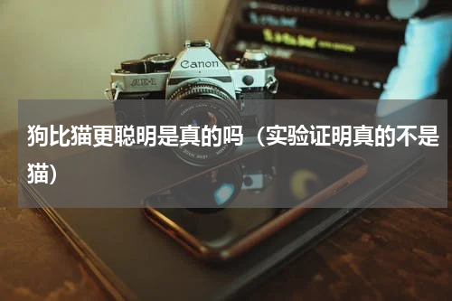 狗比猫更聪明是真的吗（实验证明真的不是猫）