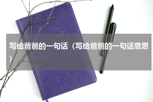 写给爸爸的一句话（写给爸爸的一句话意思）