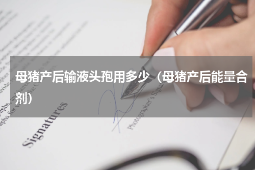 母猪产后输液头孢用多少（母猪产后能量合剂）