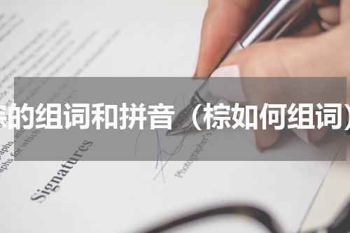 棕的组词和拼音（棕如何组词）