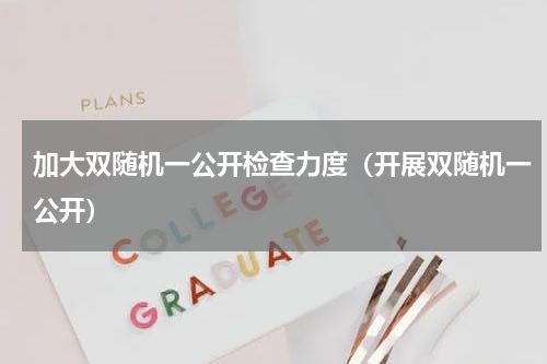 加大双随机一公开检查力度（开展双随机一公开）