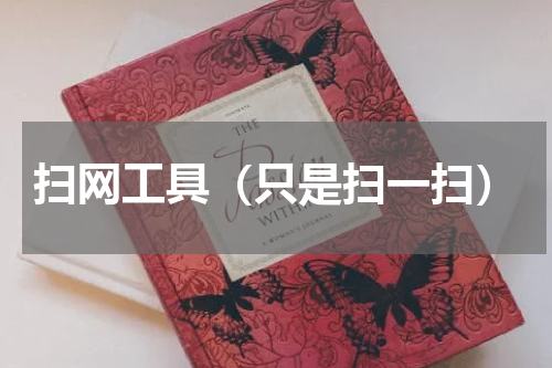 扫网工具（只是扫一扫）