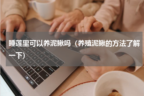 睡莲里可以养泥鳅吗（养殖泥鳅的方法了解一下）