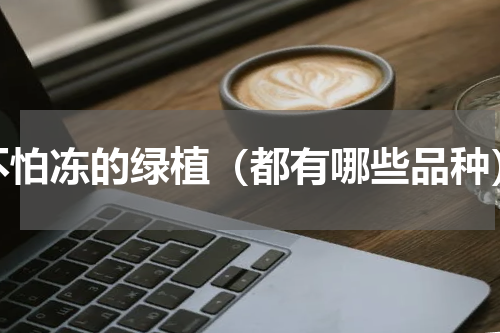 不怕冻的绿植（都有哪些品种）