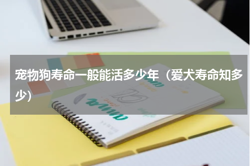 宠物狗寿命一般能活多少年（爱犬寿命知多少）