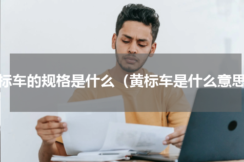黄标车的规格是什么（黄标车是什么意思）