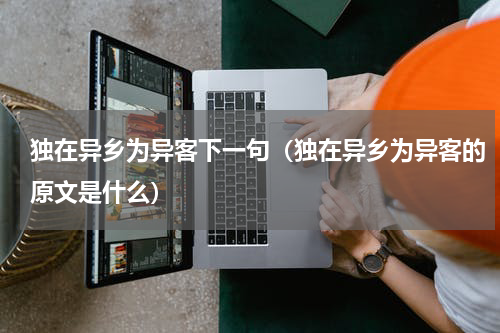 独在异乡为异客下一句（独在异乡为异客的原文是什么）