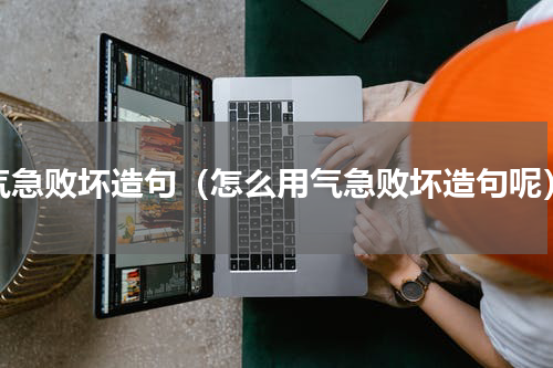 气急败坏造句（怎么用气急败坏造句呢）