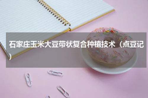 石家庄玉米大豆带状复合种植技术（点豆记）