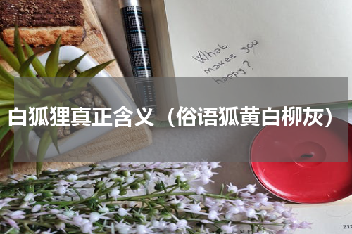 白狐狸真正含义（俗语狐黄白柳灰）