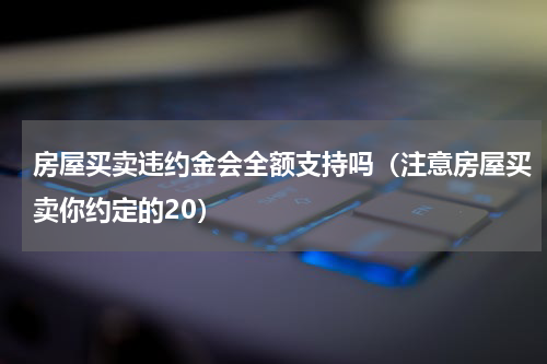 房屋买卖违约金会全额支持吗（注意房屋买卖你约定的20）