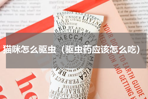 猫咪怎么驱虫（驱虫药应该怎么吃）