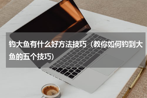钓大鱼有什么好方法技巧（教你如何钓到大鱼的五个技巧）