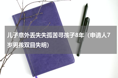 儿子意外丢失失孤苦寻孩子8年（申请人7岁男孩双目失明）