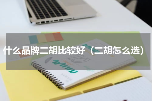 什么品牌二胡比较好（二胡怎么选）