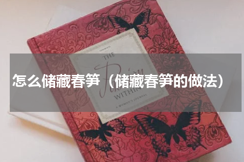 怎么储藏春笋（储藏春笋的做法）