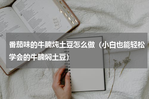 番茄味的牛腩炖土豆怎么做（小白也能轻松学会的牛腩焖土豆）