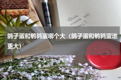 鸽子蛋和鹌鹑蛋哪个大（鸽子蛋和鹌鹑蛋谁更大）