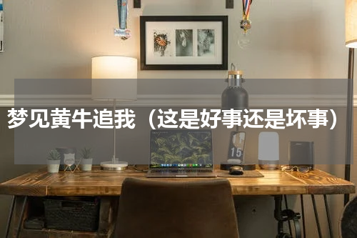 梦见黄牛追我（这是好事还是坏事）