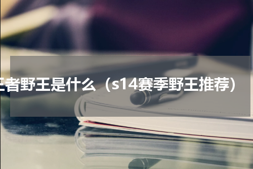 王者野王是什么（s14赛季野王推荐）