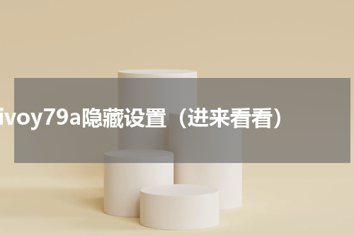 vivoy79a隐藏设置（进来看看）