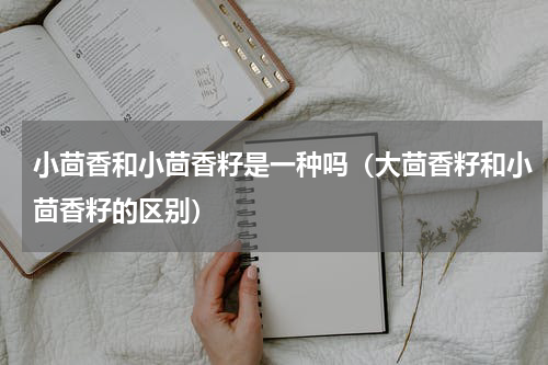 小茴香和小茴香籽是一种吗（大茴香籽和小茴香籽的区别）