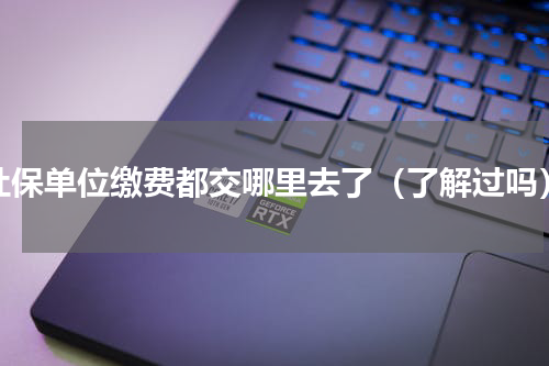 社保单位缴费都交哪里去了（了解过吗）