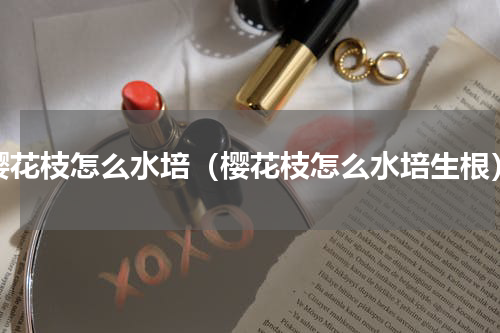 樱花枝怎么水培（樱花枝怎么水培生根）