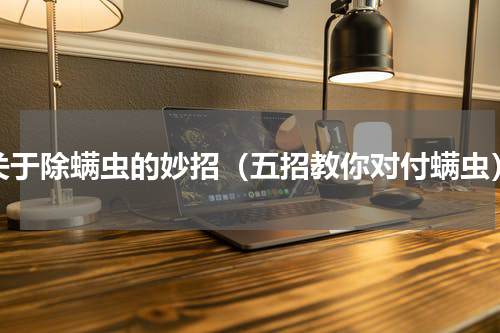 关于除螨虫的妙招（五招教你对付螨虫）