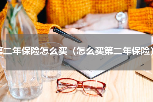 第二年保险怎么买（怎么买第二年保险）