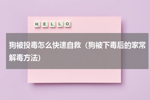狗被投毒怎么快速自救（狗被下毒后的家常解毒方法）