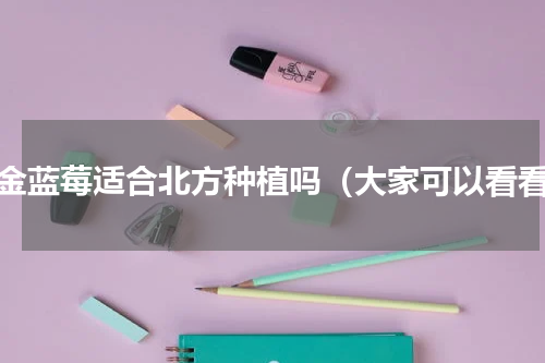 蓝金蓝莓适合北方种植吗（大家可以看看）