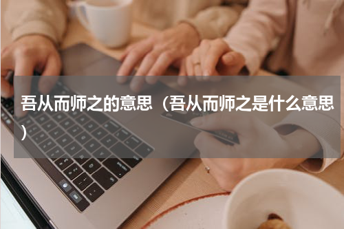 吾从而师之的意思（吾从而师之是什么意思）