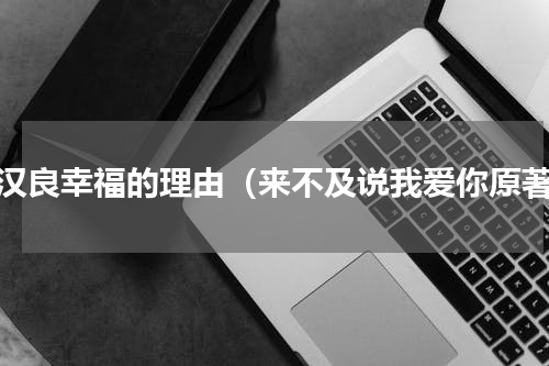 钟汉良幸福的理由（来不及说我爱你原著）