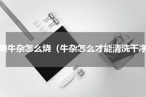 红烧牛杂怎么烧（牛杂怎么才能清洗干净）