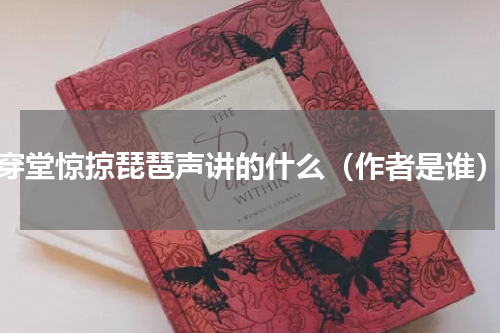 穿堂惊掠琵琶声讲的什么（作者是谁）