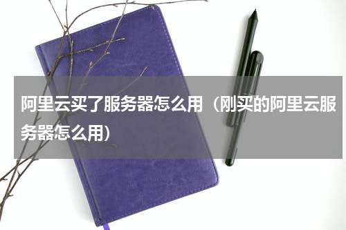 阿里云买了服务器怎么用（刚买的阿里云服务器怎么用）