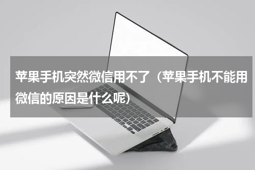 苹果手机突然微信用不了（苹果手机不能用微信的原因是什么呢）