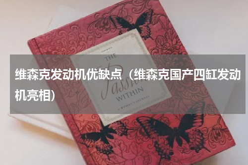 维森克发动机优缺点（维森克国产四缸发动机亮相）