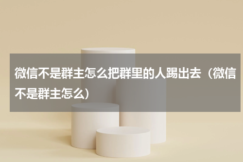 微信不是群主怎么把群里的人踢出去（微信不是群主怎么）