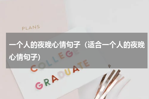 一个人的夜晚心情句子（适合一个人的夜晚心情句子）