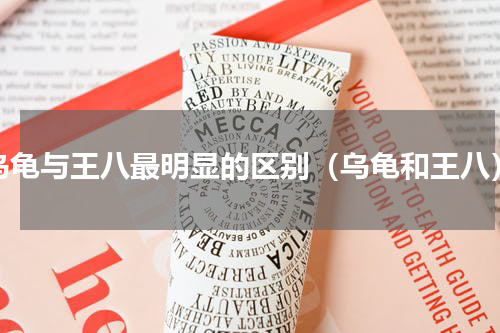 乌龟与王八最明显的区别（乌龟和王八）