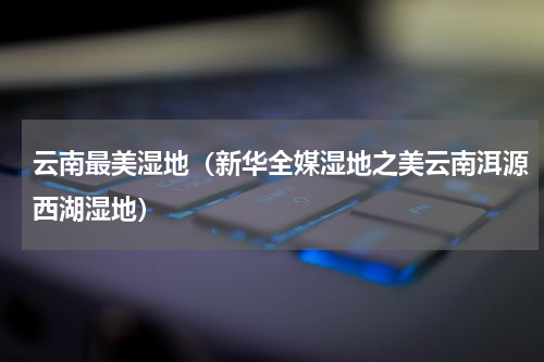 云南最美湿地（新华全媒湿地之美云南洱源西湖湿地）